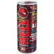 Hell A.I. Energiaital 0,25l tutti-frutti & berry blast 