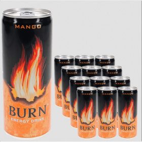 Burn Mangó 12 X 250 ml