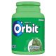Orbit Spearmint Mint Flavored Chewing Gum 64g