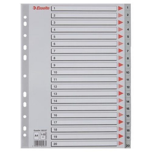 Regiszter, műanyag, A4, 1-20, ESSELTE, szürke