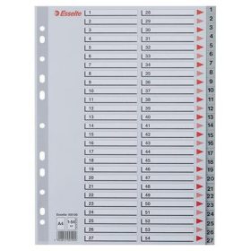 Regiszter, műanyag, A4, 1-54, ESSELTE, szürke