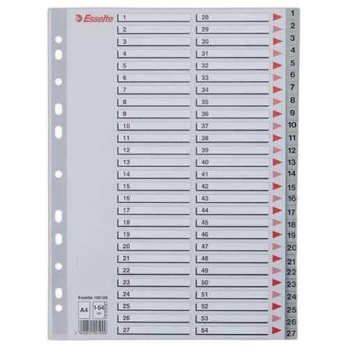 Regiszter, műanyag, A4, 1-54, ESSELTE, szürke