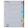 Regiszter, karton, A4, 6 részes, írható előlappal, ESSELTE "Standard", színes