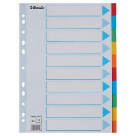   Regiszter, karton, A4, 10 részes, írható előlappal, ESSELTE "Standard", színes