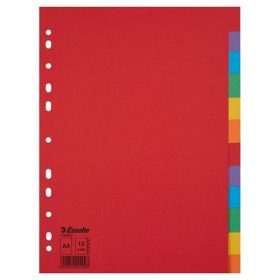   Regiszter, karton, A4, 12 részes, ESSELTE "Economy", színes