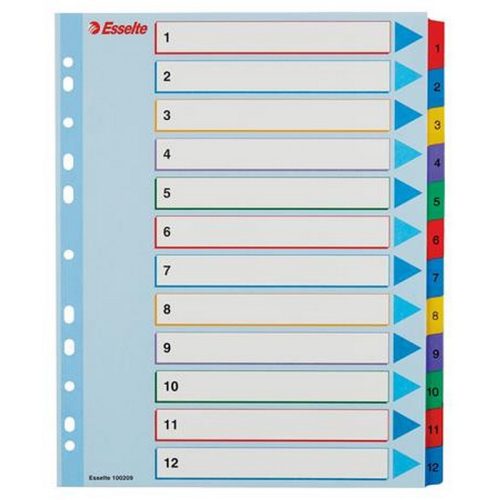 Regiszter, laminált karton, A4 Maxi, 1-12, újraírható, ESSELTE