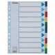 Regiszter, műanyag, A4, 10 részes, ESSELTE