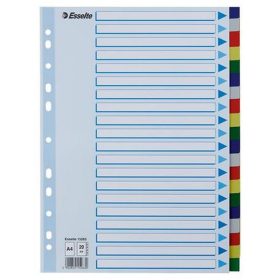 Regiszter, műanyag, A4, 20 részes, ESSELTE