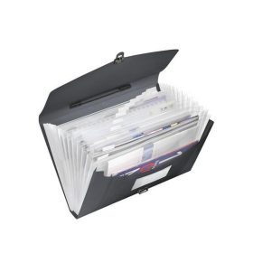   Harmonikatáska, A4, PP, 12 rekeszes, ESSELTE "Vivida", fekete