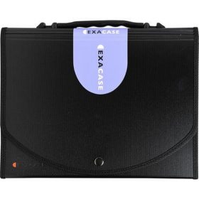   Harmonikamappa, A4, PP, 13 rekeszes, EXACOMPTA "Exactive®", fekete