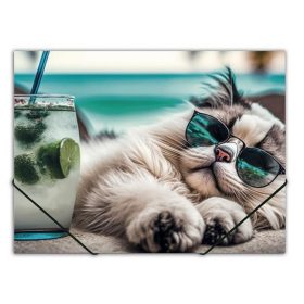   Gumis mappa, 15 mm, PP, A4, PANTA PLAST "Chillout cat"