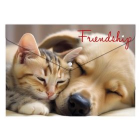   Irattartó tasak, A5 PP, patentos, 180 mikron, PANTA PLAST "Friendship"