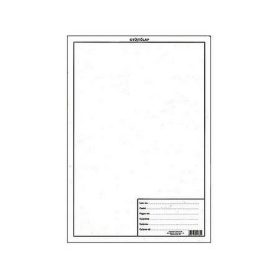 Növénygyűjtő pótlap, A4