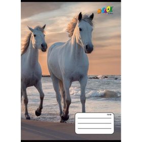   Füzet, tűzött, A5, vonalas, 32 lap, 3. osztály, COOL BY VICTORIA, "Horses", "12-32"