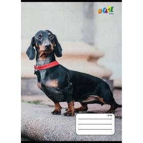   Füzet, tűzött, A5, kockás, 32 lap, COOL BY VICTORIA, "Hounds", 27-32