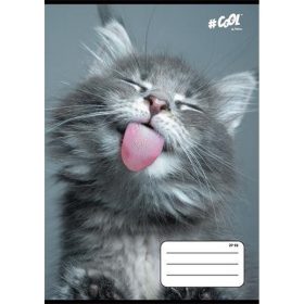   Füzet, tűzött, A5, kockás, 32 lap, COOL BY VICTORIA, "Cats", 27-32