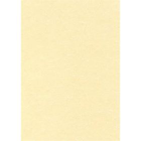   Előnyomott papír, A4, 95 g, pergamen hatású, APLI, pezsgő