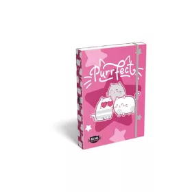 Füzetbox, A4, LIZZYSULI, "Kit tok Stars Purrfect"