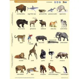   Tanulói munkalap, A4, STIEFEL" Vadon élő állatok"