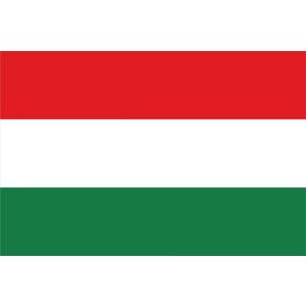 Zászló, magyar, címer nélkül, 40x60 cm