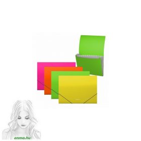   Iratmappa A/4 ErichKrause Matt Neon 12rek. 50428 vegyes szín 