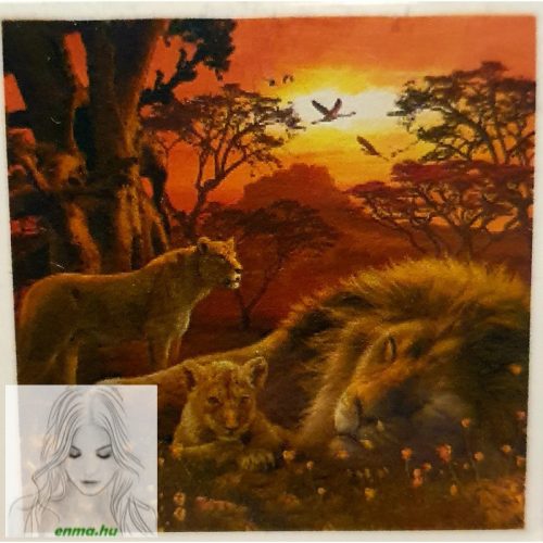Számfestő 30X30 Cm Színpompás "Lions" Keret Nélküli 