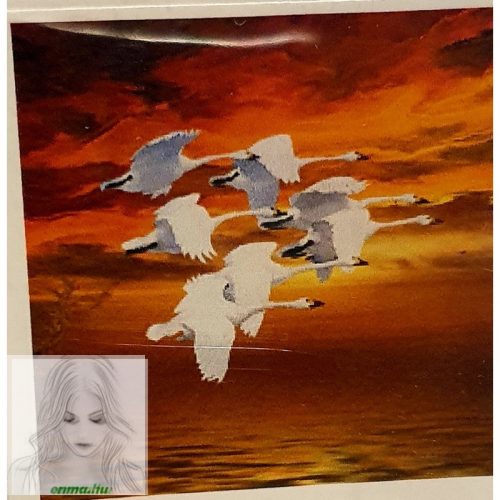 Számfestő 30X30 Cm Színpompás "Wild Geese" Keret Nélküli 
