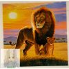  Számfestő 30X30 Cm Színpompás "Lion Sun" Keret Nélküli 