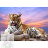   Számfestő 50X65 Cm Színpompás "Majestic Tiger" Keret Nélküli 