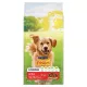 Friskies Purina Active marhával száraz kutyaeledel 10 kg