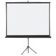Vetítővászon, hordozható,1:1, 200x200cm, ValueLine  LWST220 Franken