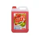 Általános tisztítószer 5 liter Ajax Floral Fiesta Red Flowers