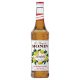 Monin Szilva 0,7L