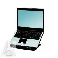 Notebook and netbook stands
