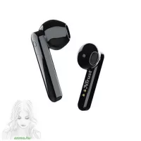 Earphones