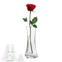 Vasen, Blumentöpfe und Blumenpflegeprodukte